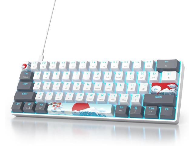 Owpkeenthy RGB Mechanical Keyboard 60 Percent Red Switches, Ultra-Compact Mini Wired Gaming Keybaord with Backlit PBT Dye-Sub Keycaps for...