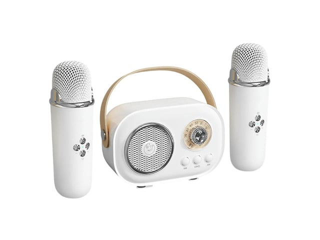 Mini Karaoke Machine W/ 2 Microphones Karaoke Speaker for Home KTV Birthday Party Holiday Gifts