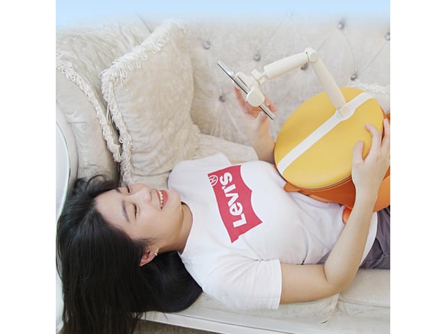 Laptop Phone Stand Adjustable Pillow Phone Holder Inside Storage Mobile Phone Pillow Holder Removable Cleaning for Home Bed Sofa