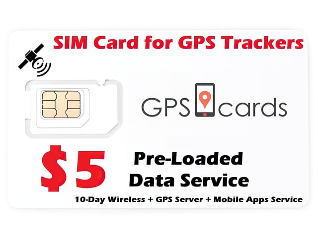 GPS Cards SIM for Whistle 3 GPS Pet Tracker & Activity Monitor Grey IOS Android